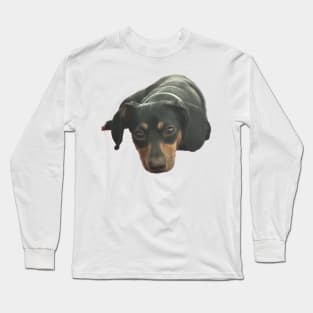 Sweet puppy face Long Sleeve T-Shirt